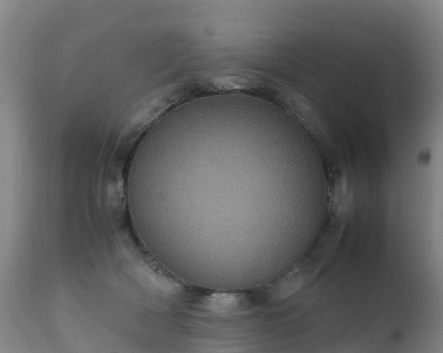 X0000111470418200907201142