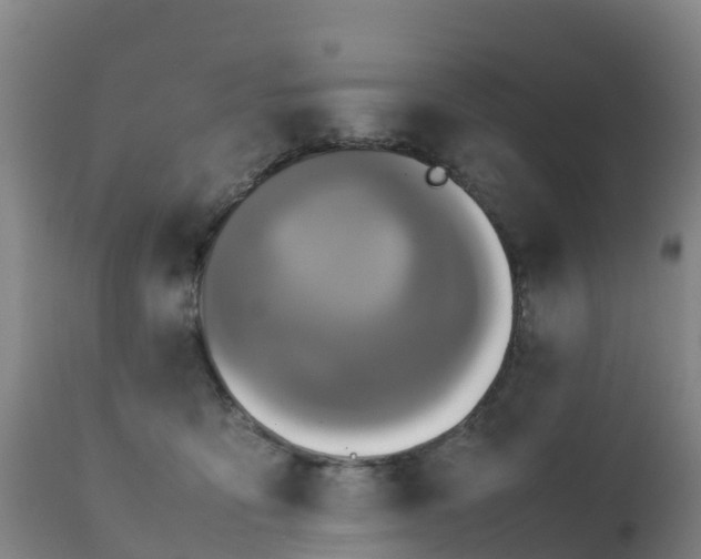 X0000111470419200907201142