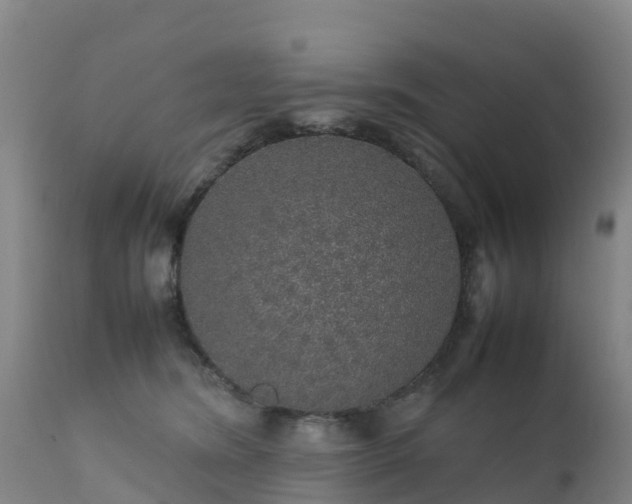 X0000111470420200907201142