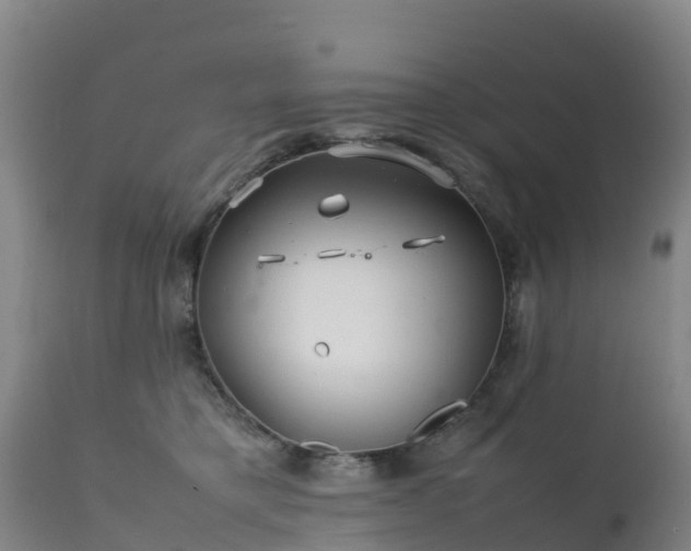 X0000111470421200907201142