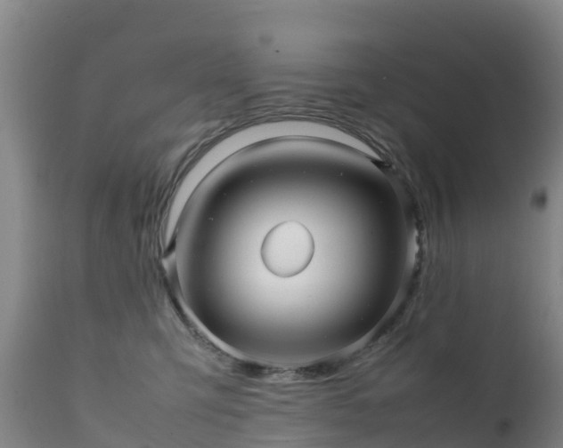 X0000111470423200907201141