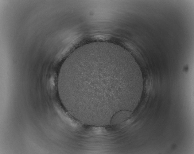 X0000111470424200907201141