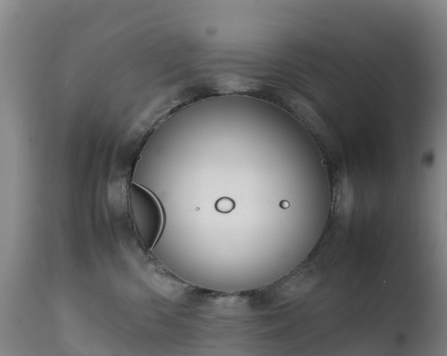 X0000111470426200907201141