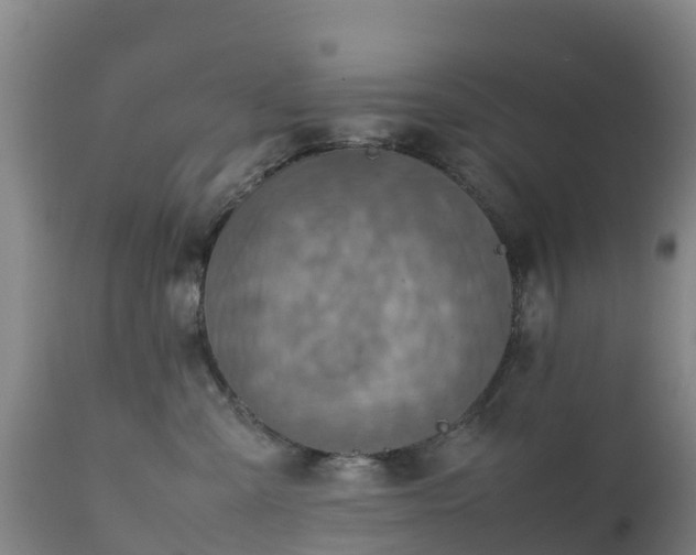 X0000111470427200907201141