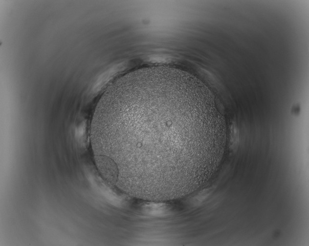 X0000111470428200907201141