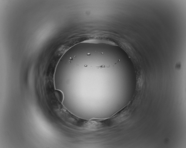 X0000111470429200907201141