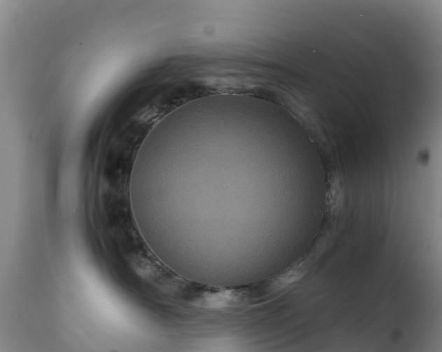 X0000111470430200907201141