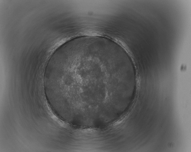 X0000111470433200907201140