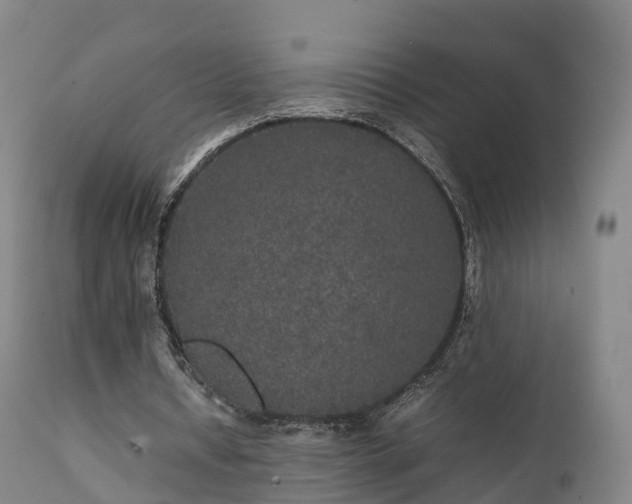 X0000111470434200907201140