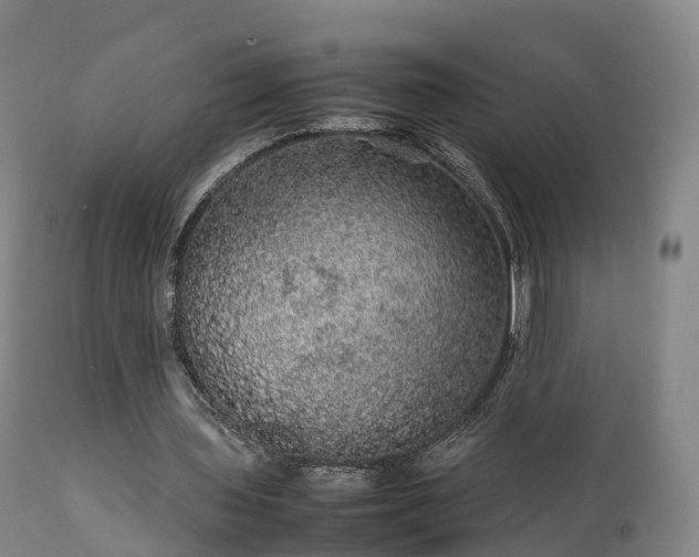 X0000111470435200907201140