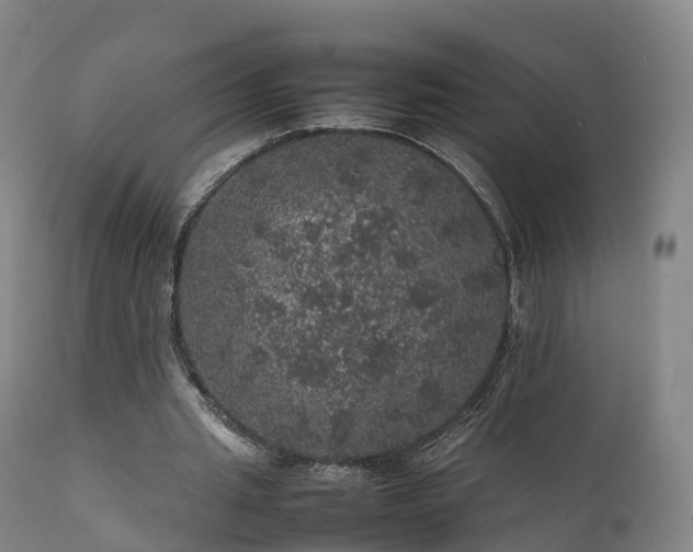 X0000111470437200907201140