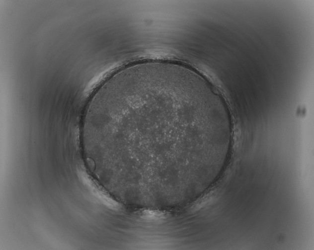 X0000111470442200907201140