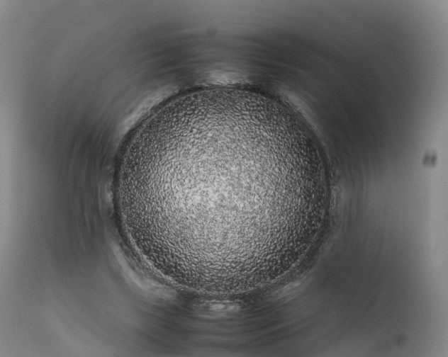 X0000111470443200907201141