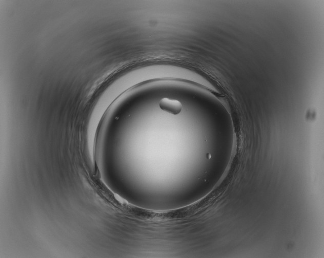 X0000111470444200907201141