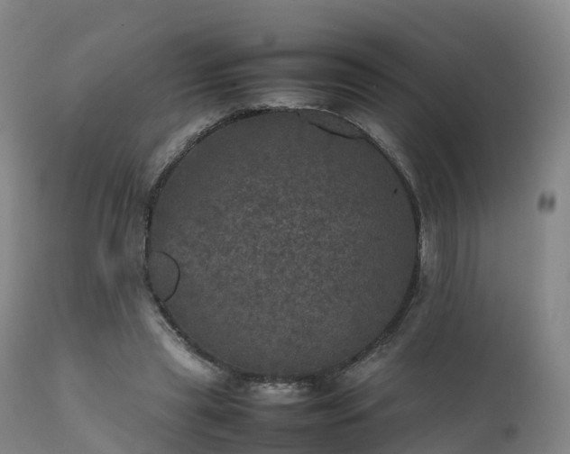 X0000111470445200907201141