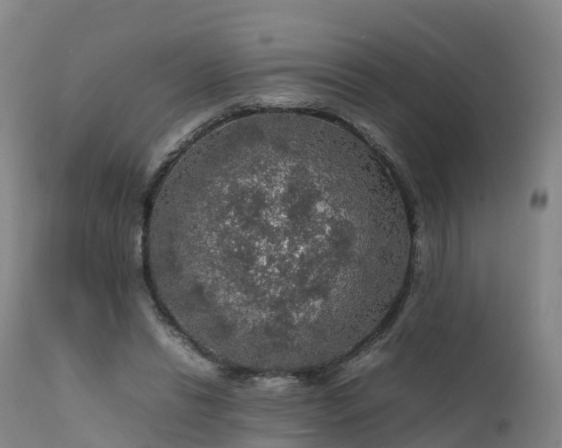 X0000111470446200907201141