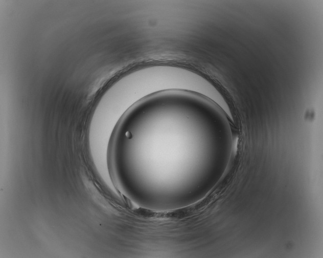 X0000111470448200907201141