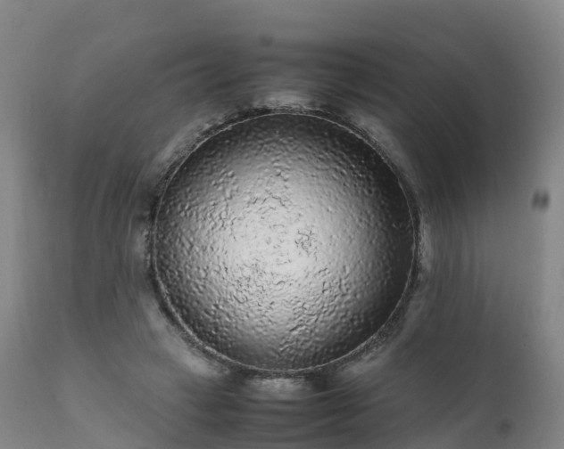 X0000111470449200907201141