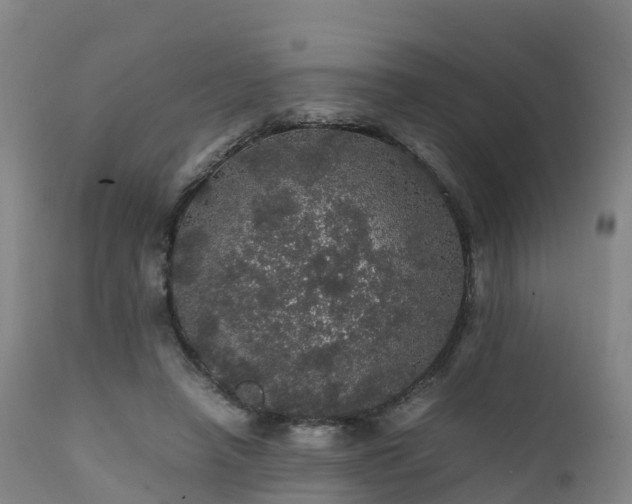 X0000111470450200907201141