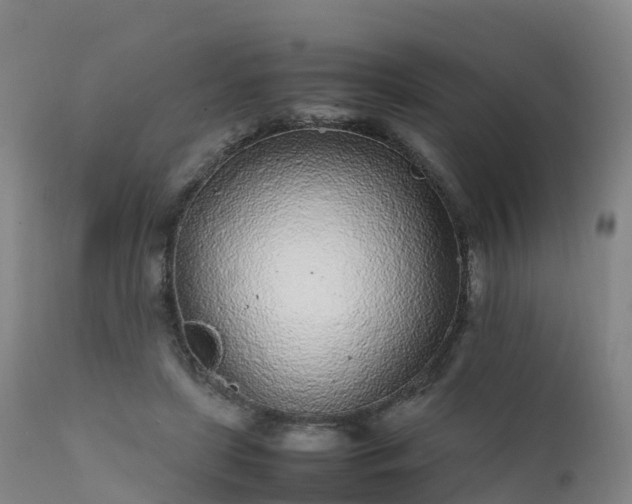 X0000111470451200907201141