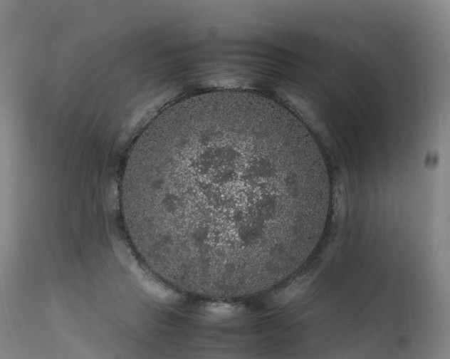 X0000111470453200907201141