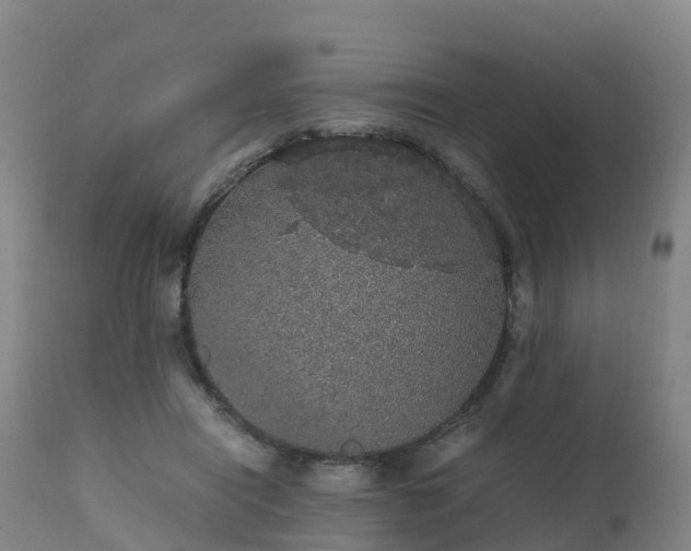 X0000111470454200907201141