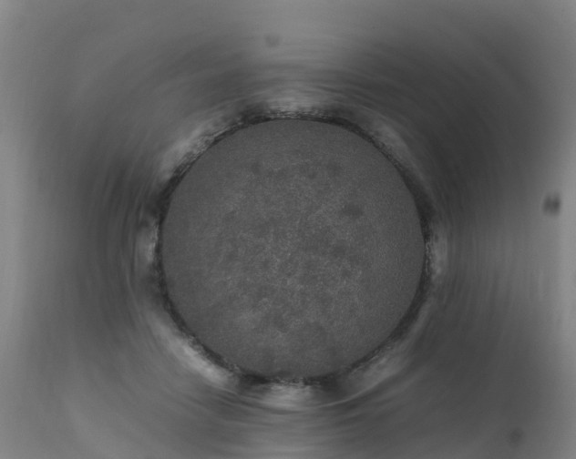 X0000111470458200907201141