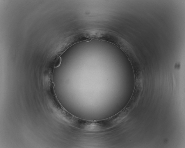 X0000111470460200907201141