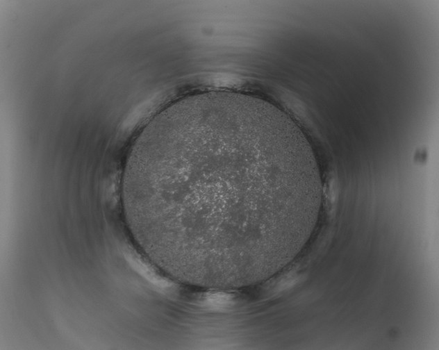 X0000111470462200907201141