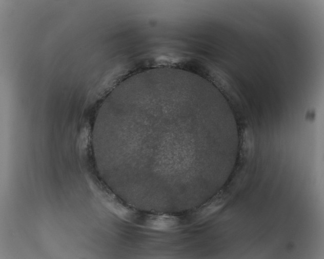 X0000111470463200907201141