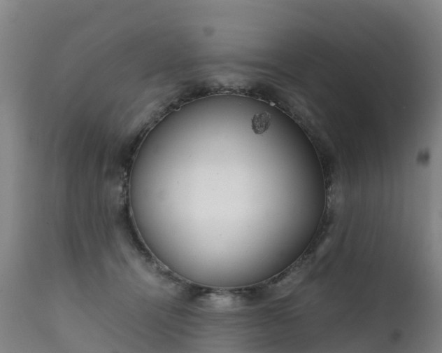 X0000111470464200907201141