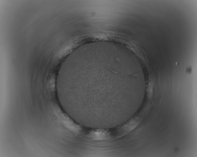 X0000111470466200907201141