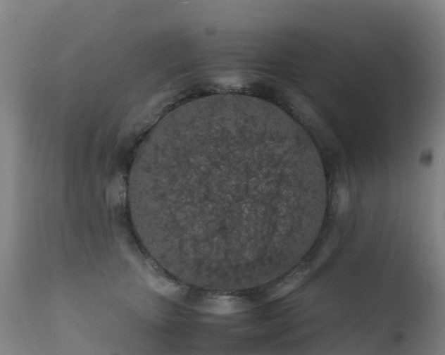 X0000111470467200907201141