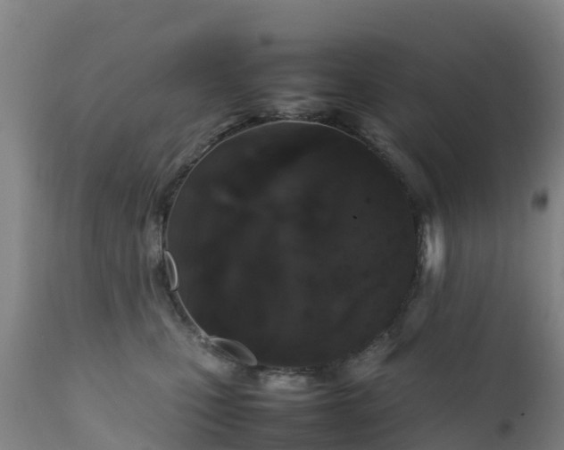 X0000111470471200907201141