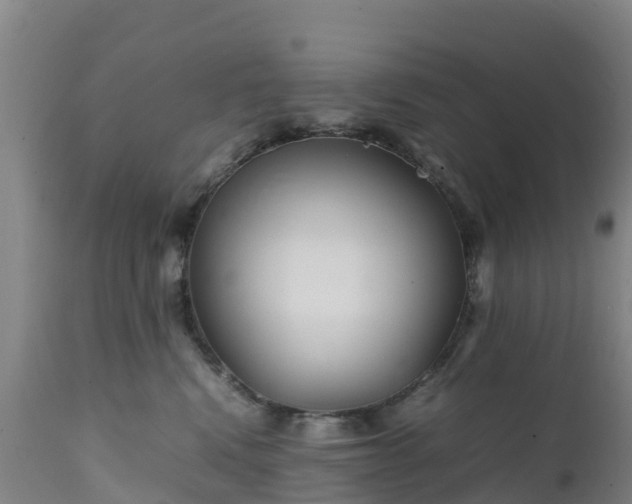 X0000111470472200907201141