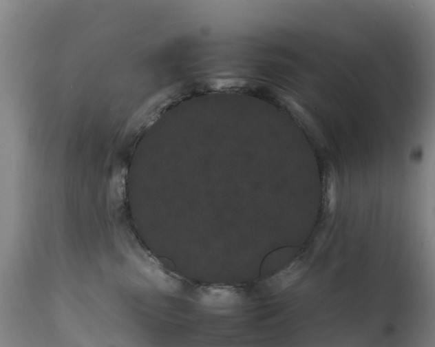 X0000111470475200907201141