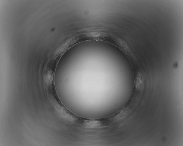 X0000111470476200907201141