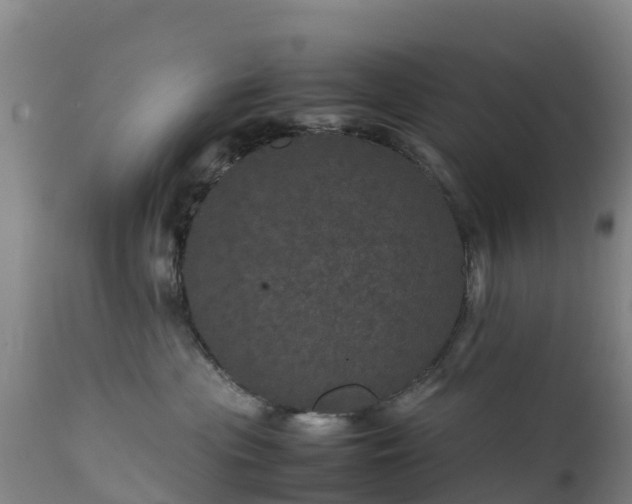 X0000111470477200907201141