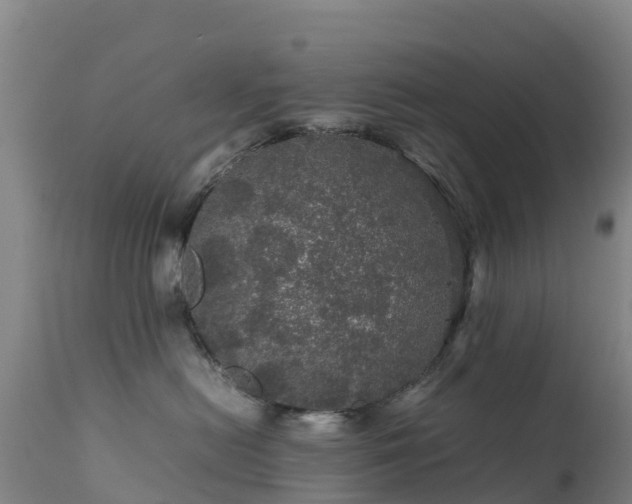 X0000111470478200907201141