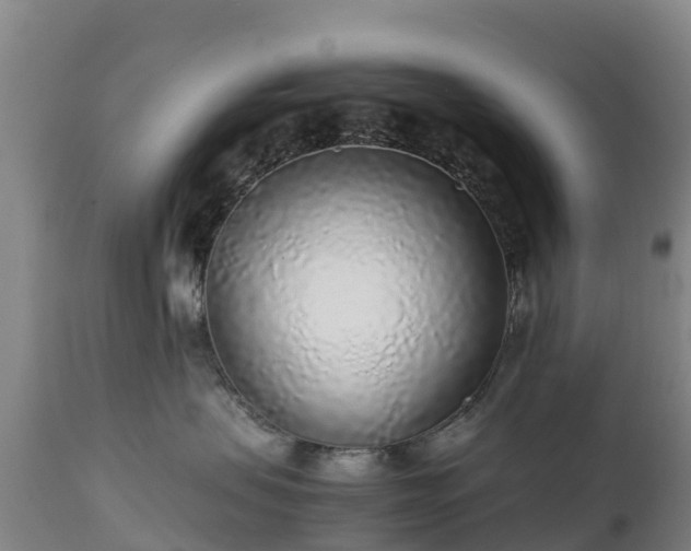 X0000111470479200907201141