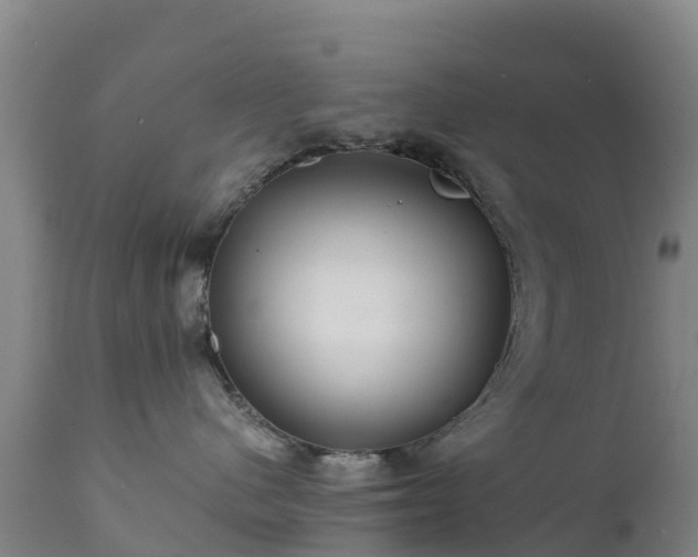 X0000111470480200907201141