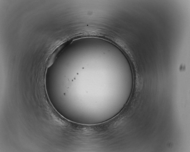 X0000111470481200907201140