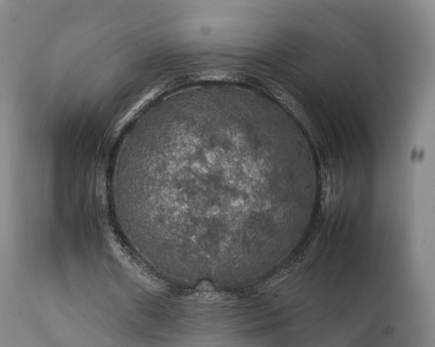 X0000111470482200907201140