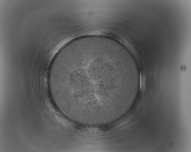 X0000111470483200907201140