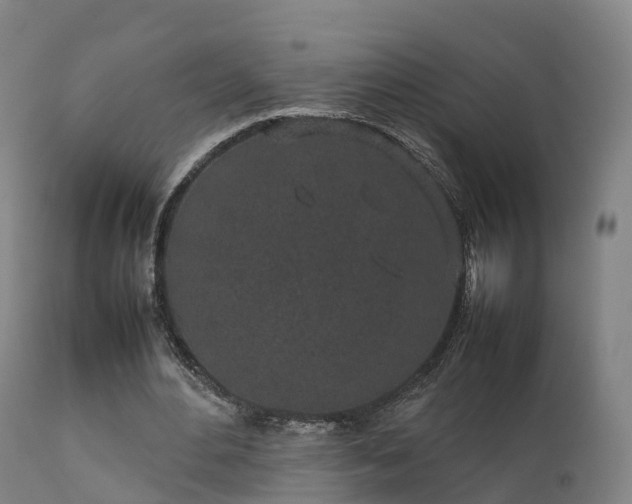 X0000111470484200907201140