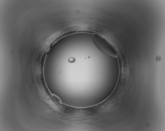 X0000111470485200907201140