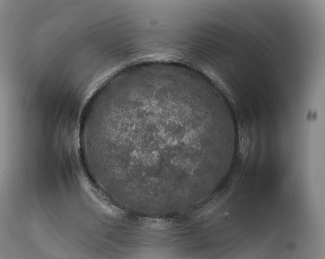 X0000111470486200907201140