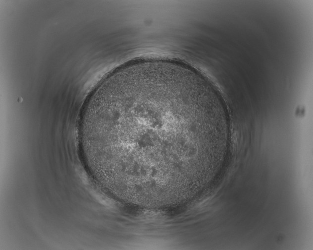 X0000111470487200907201140