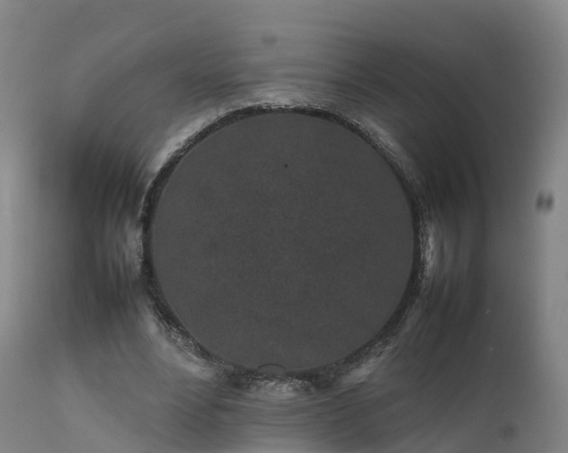 X0000111470488200907201140