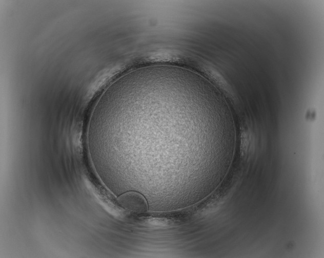 X0000111470490200907201140